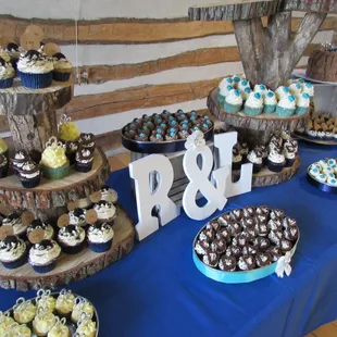 &quot;Shades of Blue&quot; Historical Cabin Wedding