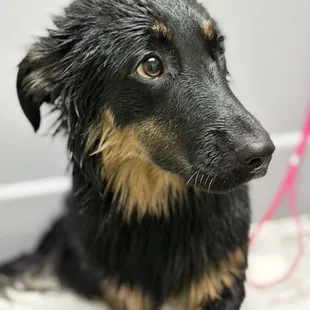 First time at Diego's. We'll be back.