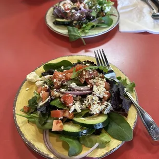 Greek Salad- Amazing!