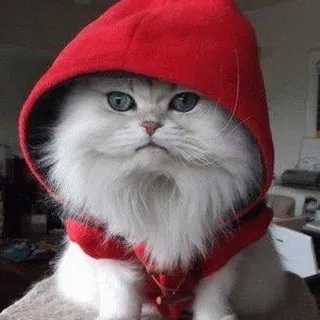 Topazskye L.