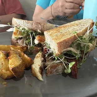 Veggie Hummus sandwich with potato wedges.