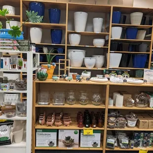 Look at all the planters!