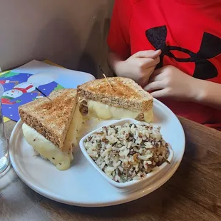 Kids turkey sandwich and rice