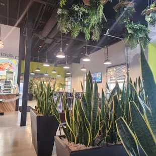 Decor