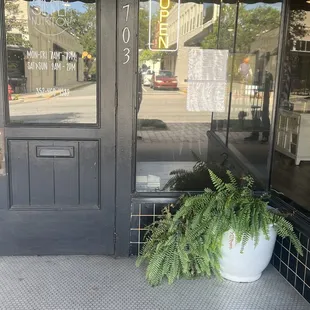 a potted plant in front of a restaurant