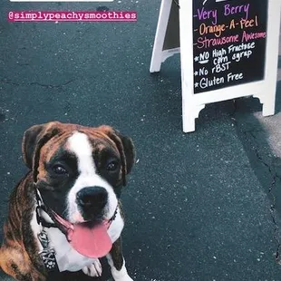 Simply Peachy Smoothie Pops