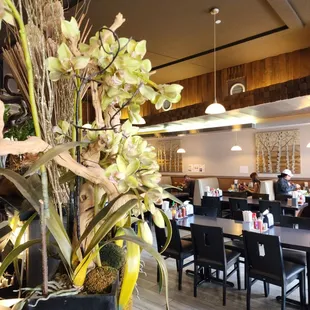 the dining area
