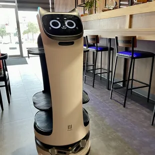 Robot waiter - Exterminaaate! Exterminaaate! :)