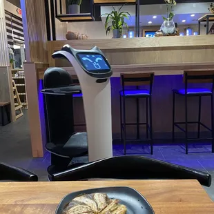 Bella Bot at your service with the most delicious gyoza in the foreground.