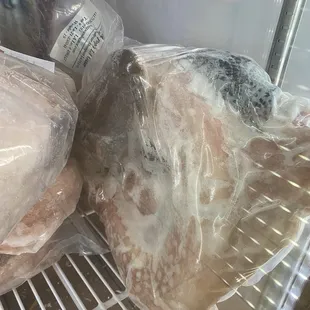 Whole frozen alligator with the head still on!