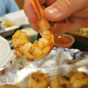 Red royal shrimp. See the Red body?