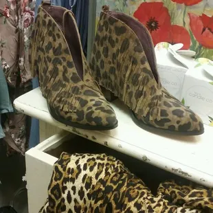 Cheeta, the new neutral!