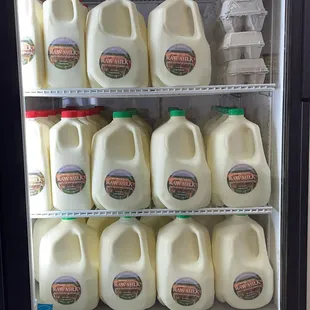 A2 Organic Grass Fed Raw  Milk Delivered weekly!