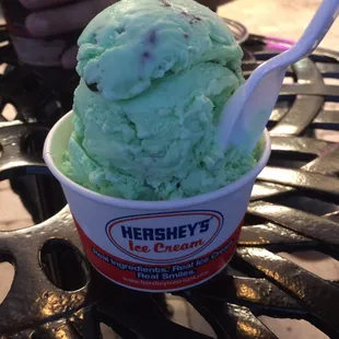 This is ONE scoop! Huge! Mint chocolate chip Hershey&apos;s brand ice cream. Very tasty.