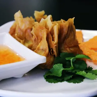 Crispy Wonton