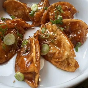 Fried Kimchi Teriyaki Dumplings