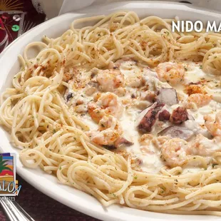 Our Nido Marino a.k.a. Seafood Nest! Delicious pasta cooked in a cream sauce with octopus and shrimp