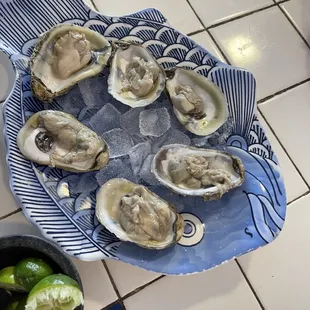a plate of oysters