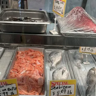 a variety of fish for sale