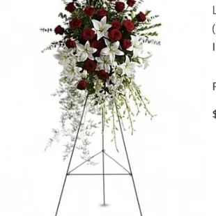 The Spray we Ordered