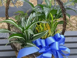 Anointed Flowers & Gifts