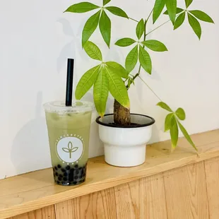Cocopandan ($7) - Large with Boba