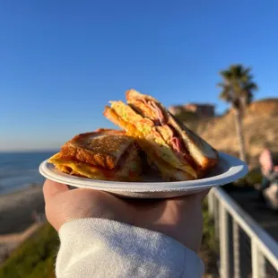 a person holding a plate of food