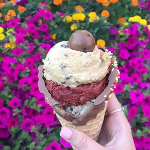 16 oz. Chocolate Chip Cookie Dough