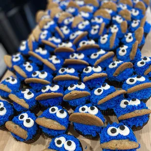 The amazing cupcakes for my sons 1st birthday.