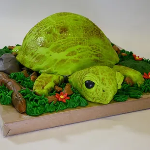 Nothing slow about this &quot;Turtle Cake.&quot;