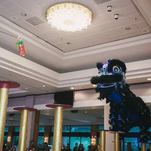 Pole performance at Koolau Ballroom