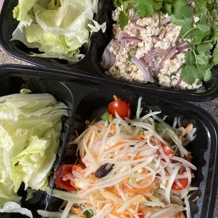 Papaya salad and Larb Kai Salad