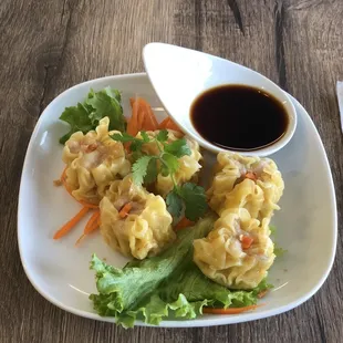 Thai Style Dumplings