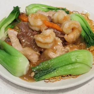 Combination Pan Fried Noodles