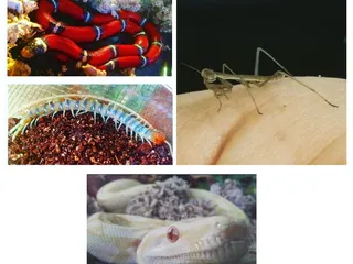 Backyard Wildlife Resource Center