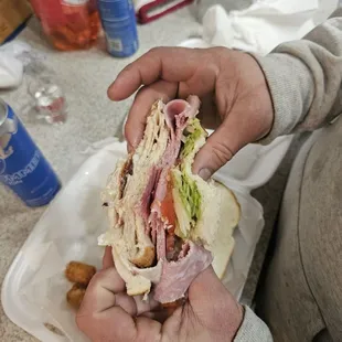 ows a person holding a sandwich