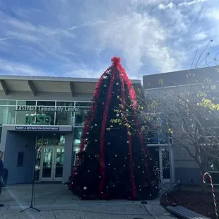 Beautiful Christmas Tree out front!