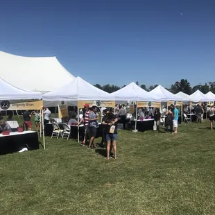So many wine tasting booths! This was only a 3rd of them