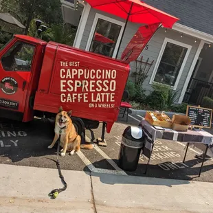a coffee truck and a dog