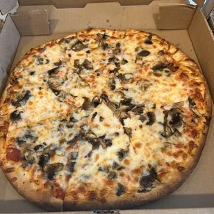 Mushroom and cheese pizza