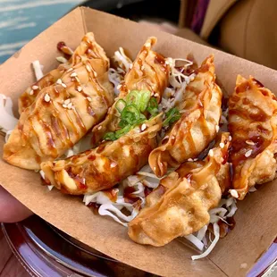 Gyoza - Kobe Style Pork and Cabbage Fried Dumplings