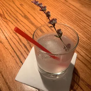  a glass of water with a flower in it