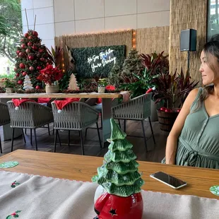Merry Christmas!