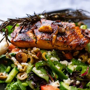 Grilled Salmon Salad