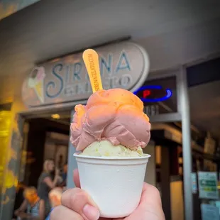 a hand holding a cup of gelato