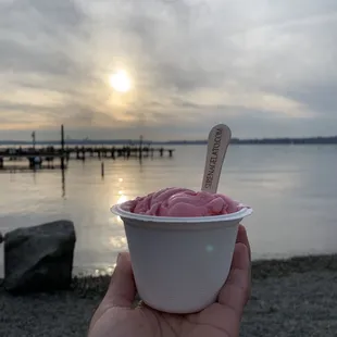 Washington Raspberry Gelato (Kids Scoop - $4.99)