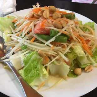 Papaya Salad