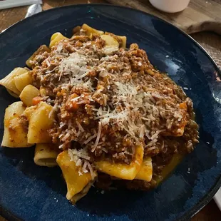 Bolognese