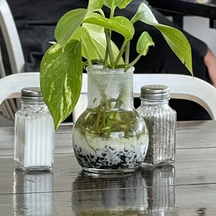 Pothos at each table 3