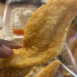 Snapper with hair in it
